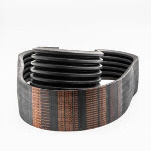 CINGHIE TRAP. MULTIBAND